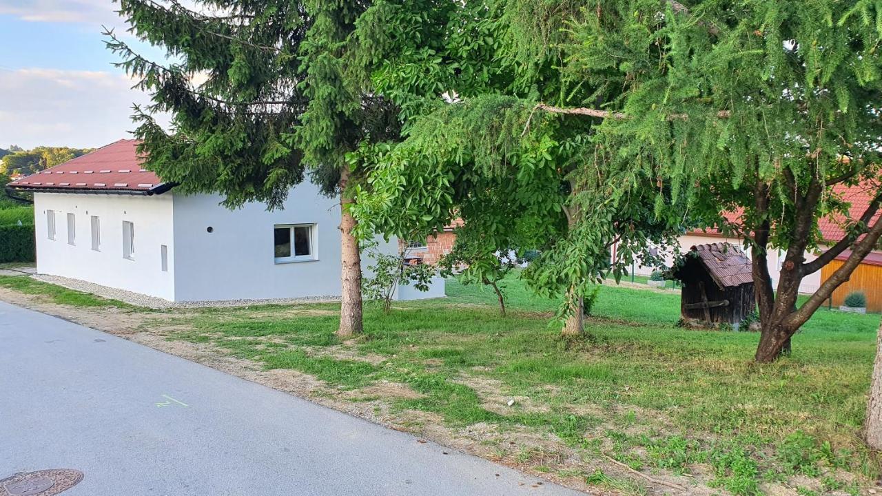 Rooms And Apartments Vili Ptuj Esterno foto